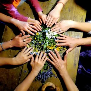 „Căsuța plantelor din Țarină” – marele câștigător al concursului „Jurnalism eco pentru un mediu curat”