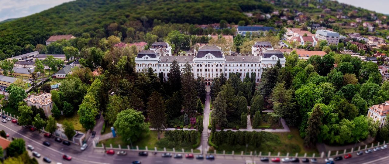 La Târgu Mureş va lua fiinţă Institutul de Neuroştiinţe – British-Romanian Academic Institute of Neuroscience