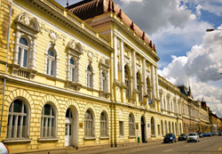 Program nou de licenţă, Nutriţie şi dietetică, la Facultatea de Medicină din Oradea